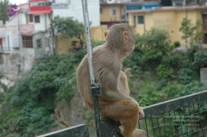 20060603 DSC 0162 CMP WM.jpg