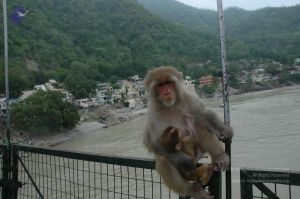 20060603 DSC 0165 CMP WM.jpg