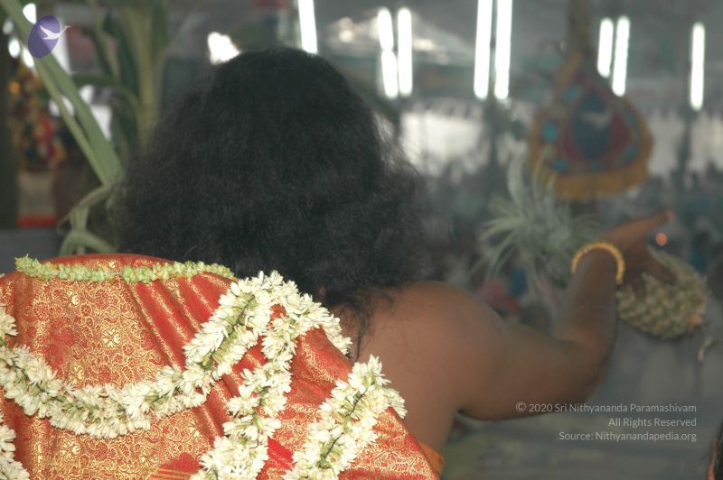 File:20060717 Photo 1744 1Yqc5 meMBLZzI yN2HkkAXV pr6Pxq-e.JPG