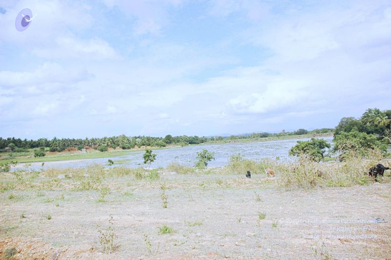 File:20060817 Photo 168 1fR4iJJRO8JwfuU9SablR2 JwgPJVw7Jk.jpg