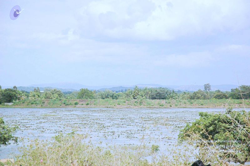 File:20060817 Photo 169 1oPOIBJO4YxAxLKomX CXRSklU5AmvH2D.jpg