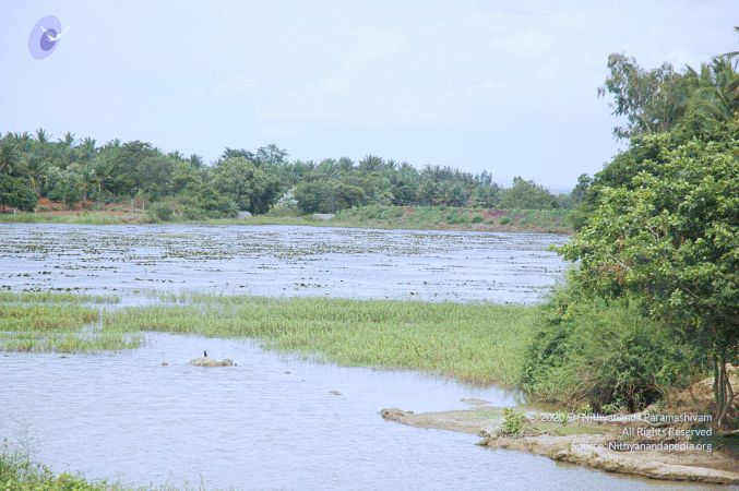 20060817 Photo 173 1ZZkWs4XJ5FFp3RTW5uTCo0JMTQh3UeXt.jpg