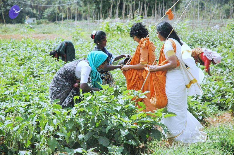 File:20060817 Photo 188 120nev8vvUIXXSEH63qZF87i6mtJN8nQB.jpg