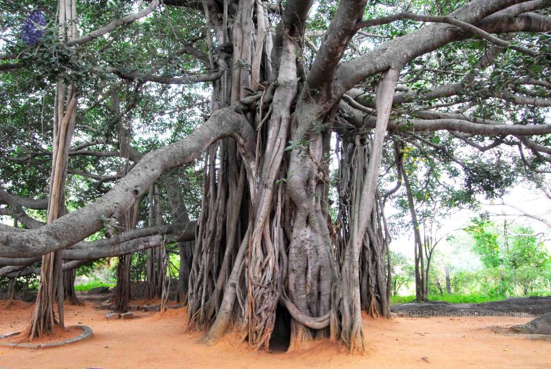 File:20060818 Photo 1222 1tvjyKArZDRacEFeavwm q0QYVi Usau1.JPG