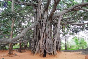 20060818 Photo 1224 1ZxFhP-iz5BcHzHOi9Ocp6qQdRVOpnrc5.JPG