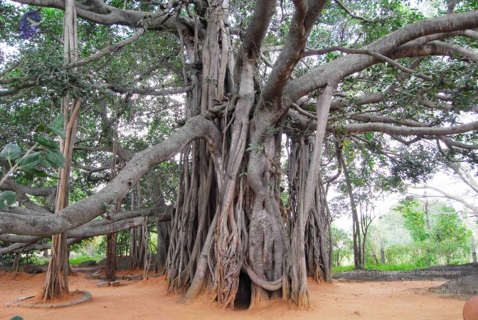 20060818 Photo 1224 1ZxFhP-iz5BcHzHOi9Ocp6qQdRVOpnrc5.JPG