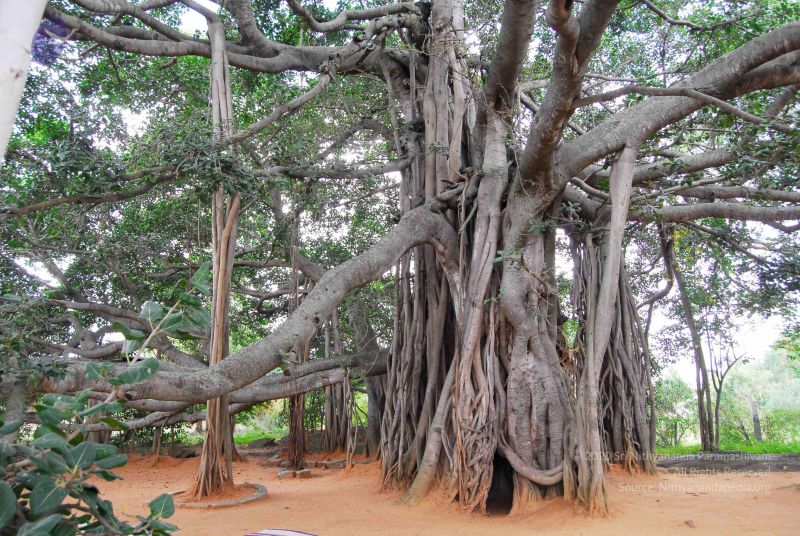 File:20060818 Photo 1225 1krqN5SHmWu0yoaTPigvCe1dqt1B0KoIU.JPG