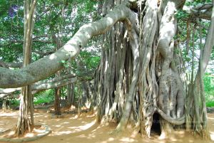 20060818 Photo 1230 1LXdYx5ma9reOL3OJofofdOyjKyqkb5Dm.JPG