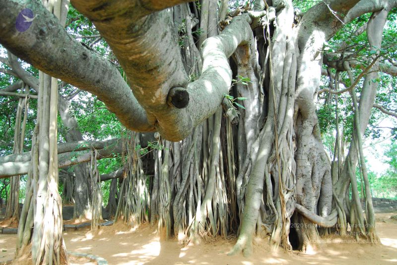 File:20060818 Photo 1231 1FFq5M2Shs ZlISAWhHmS2nNybfU8i5oy.JPG