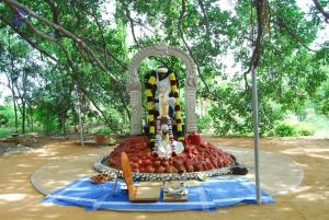 20060818 Photo 1236 1qPxeneT57yaXCuhR0dDR47fKpw9rr5IB.JPG