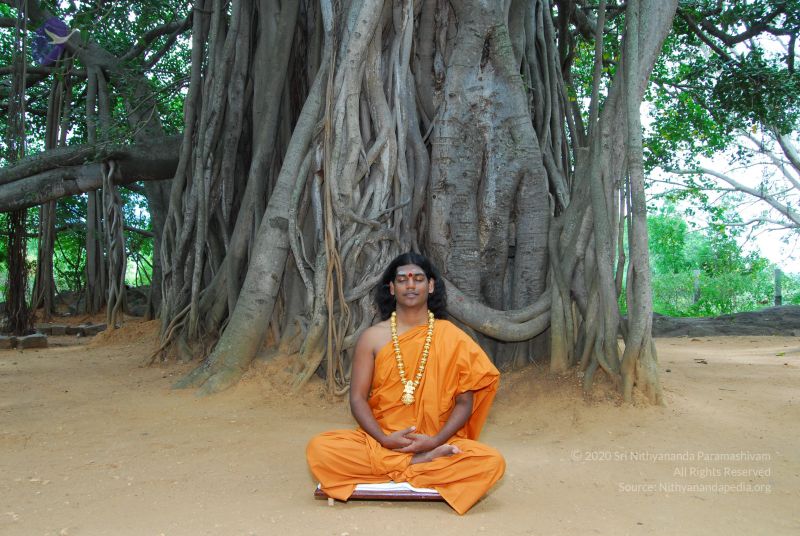 File:20060818 Photo 1245 1WcP1TumX7IMhPvt1Y3jOoOg2shxgJC7s.JPG