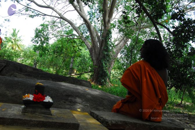 20060818 Photo 1256 1f3syyPyQNgatWNN 0ghfLbIRyoTFmJIL.JPG