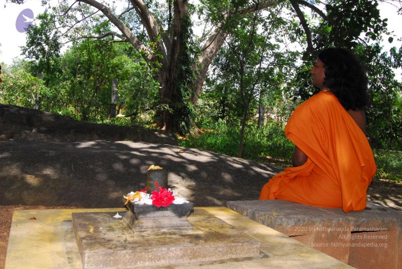 File:20060818 Photo 1258 1XOq2WrLdiqO0ItBGr4BSKbS8nltxB9wS.JPG