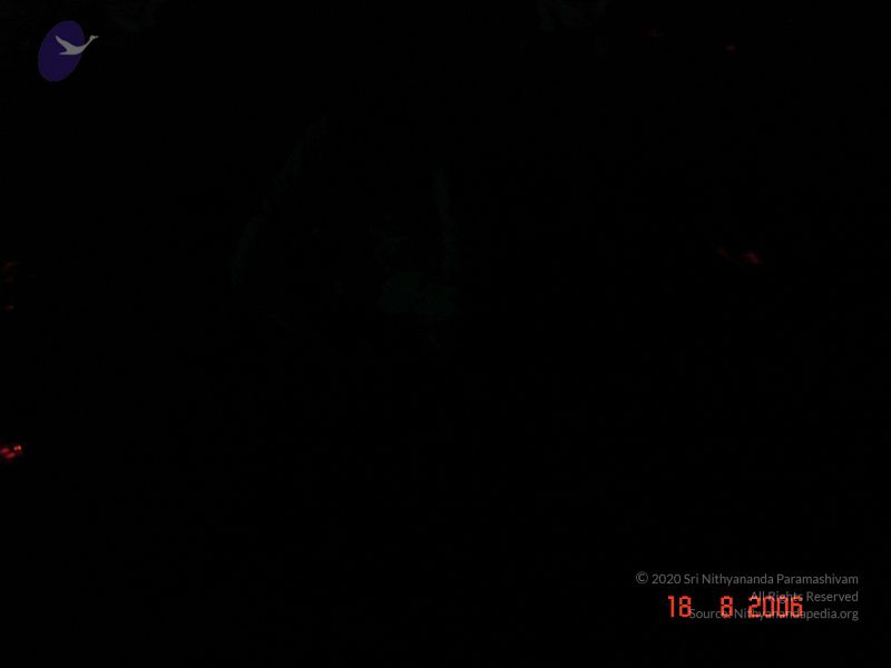 File:20060819 Photo 62 1 CZLo3xJKw76nDhDLsgHDpqC44JEYtt.jpg