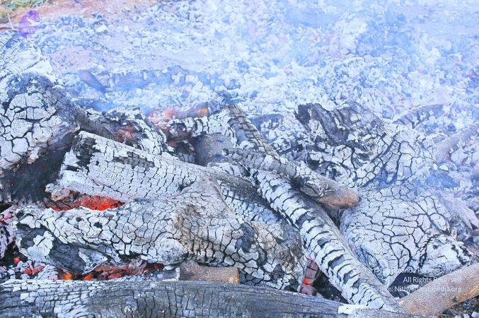 20060820 Photo 190 1jerLn3NwLvj6Y9lhm2DAclzxD2yV9C42.jpg