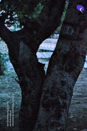 20060821 Photo 56 18DQ-WK-W8 aaHiKVSl1q44lOrI7wjv9w.jpg