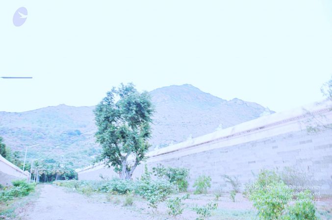 20060821 Photo 91 1it124SBO2xz1FSXdj9QOqYgIrtOwlsWk.jpg