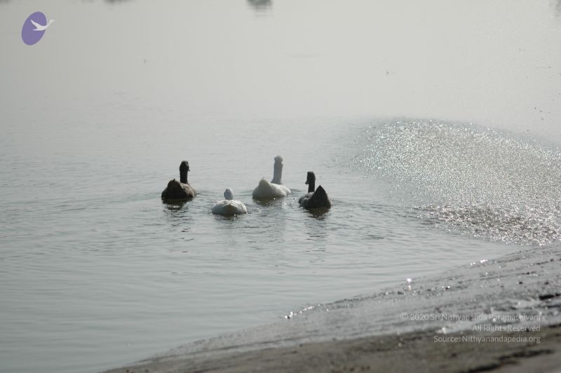 File:20060830 Photo 1006 1Fjdsa3u5Cb8he KbgQxwBIPZCd1H7Kq6.JPG