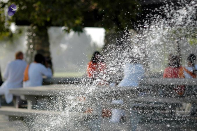 20060830 Picture 503 CMP WM1.jpg