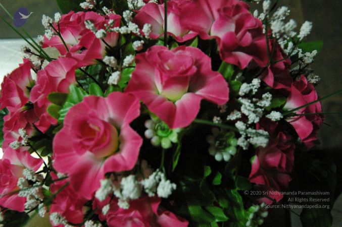 20060903 Photo 1032 1W88UiZBMl4yBb6lOIQqwBQLaMrh5Ca17.JPG