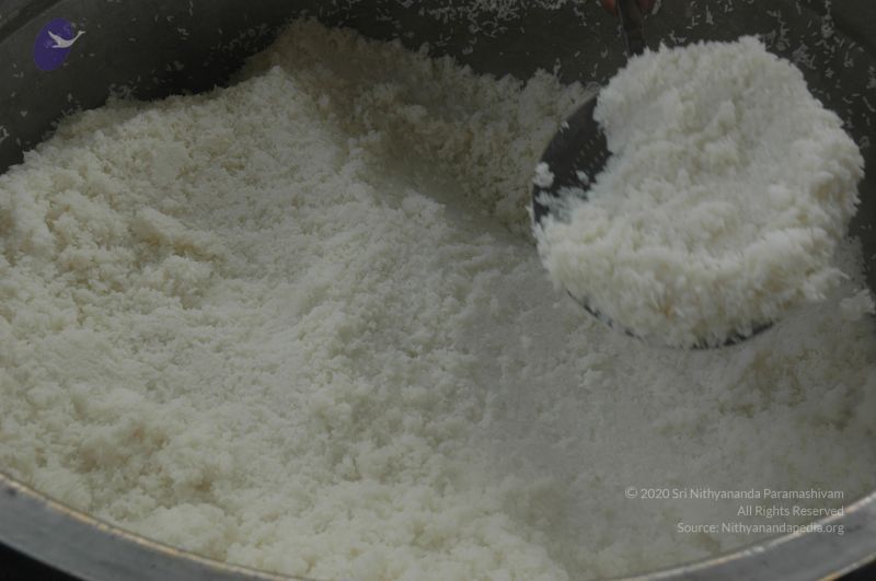 File:20060917 Photo 1380 1XlF9J4TYV0JZDW496fRmodSgH9Qy79Cj.JPG