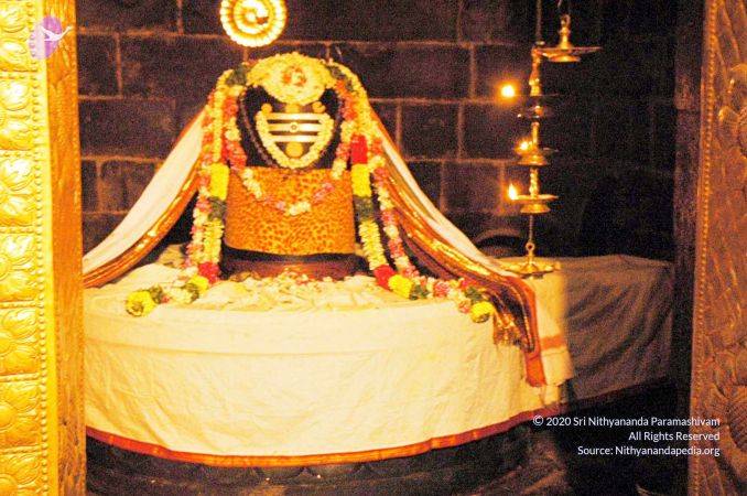 20060918DSC 0264 CMP WM1111.jpg