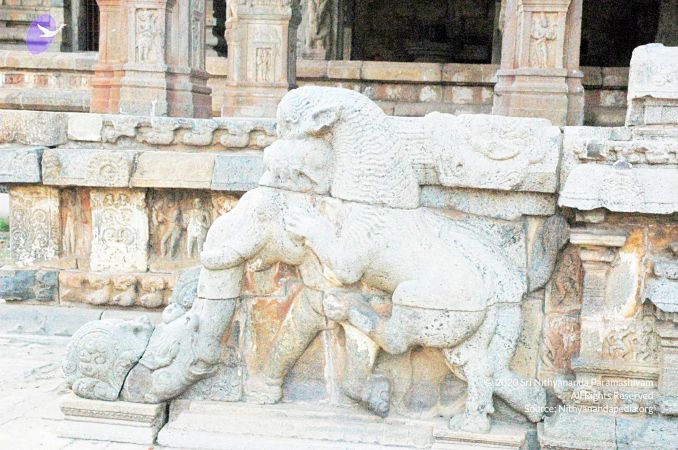 20060918DSC 0316 CMP WM1111.jpg