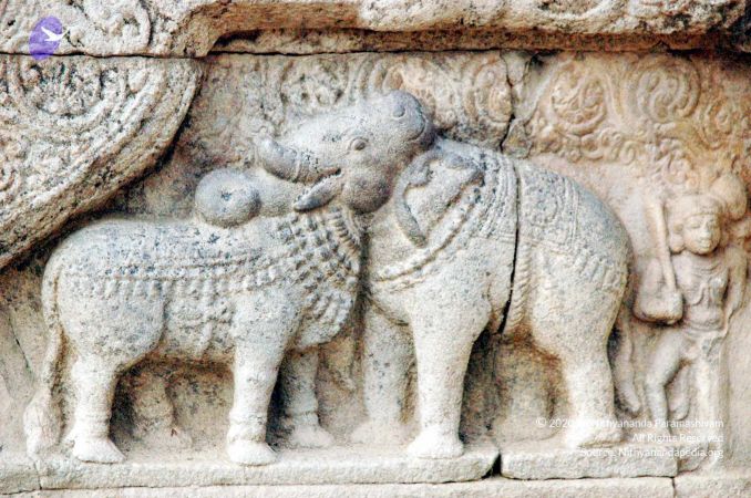 20060918DSC 0341 CMP WM1111.jpg