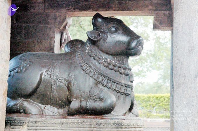 20060918DSC 0357 CMP WM1111.jpg