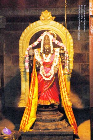 20060918DSC 0384 CMP WM1111.jpg