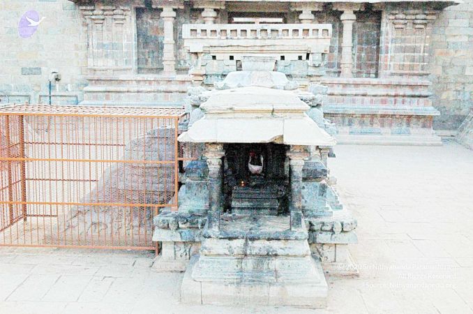 20060918DSC 0415 CMP WM1111.jpg