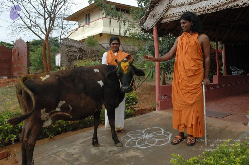 File:20060921 Photo 1160 17PU7xF65roG8x6EPo6OpSOmEnDTyUtik.JPG