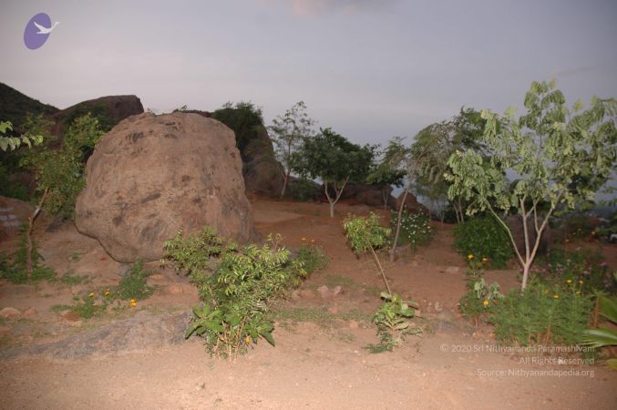 20060923 Photo 1283 1oPiecGrOvJM03hqhAAN9u11oIv9p1Hps.JPG