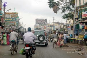 20060925DSC 3098 CMP WM00100.jpg