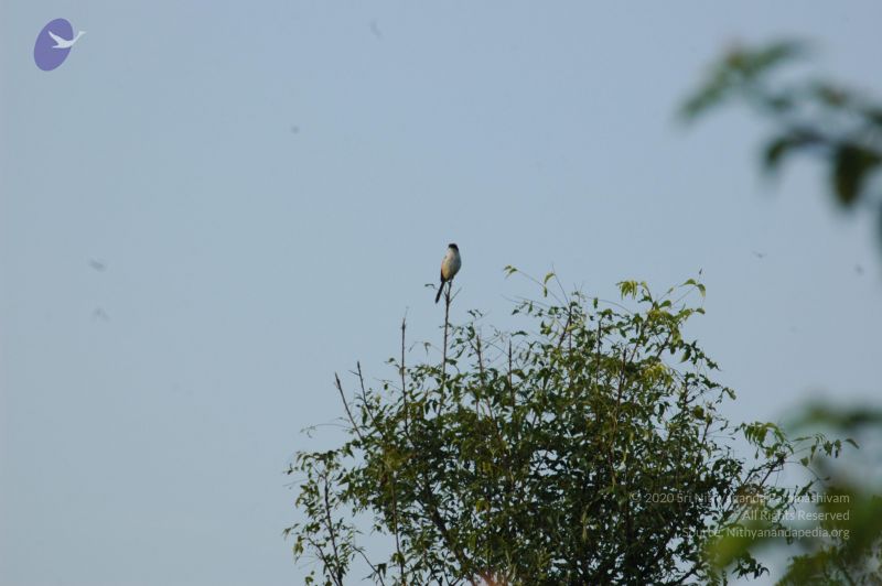 File:20060926 Photo 1106 1Wig2FKsUM7doWaYkr9rAWJLpYkJhqNRp.JPG