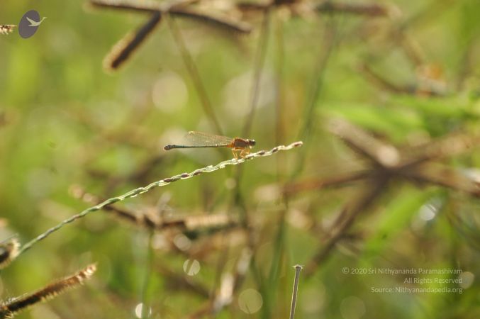 20060926 Photo 1107 1IsSY3TX-Fj-PPOmpGvT8rXrV6godmO18.JPG