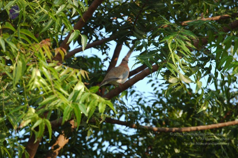 File:20060926 Photo 1111 1K9JtHqXwgA8fZOCBTx TyjZ1jdOSY5mQ.JPG