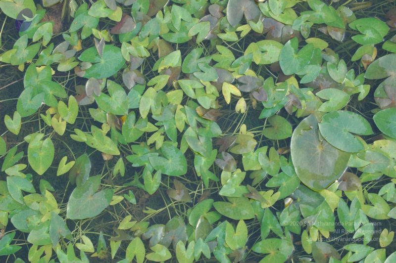 File:20060926 Photo 1114 1F1uPyi1GdWiEri pRdzDkCpp-VXrNsoq.JPG