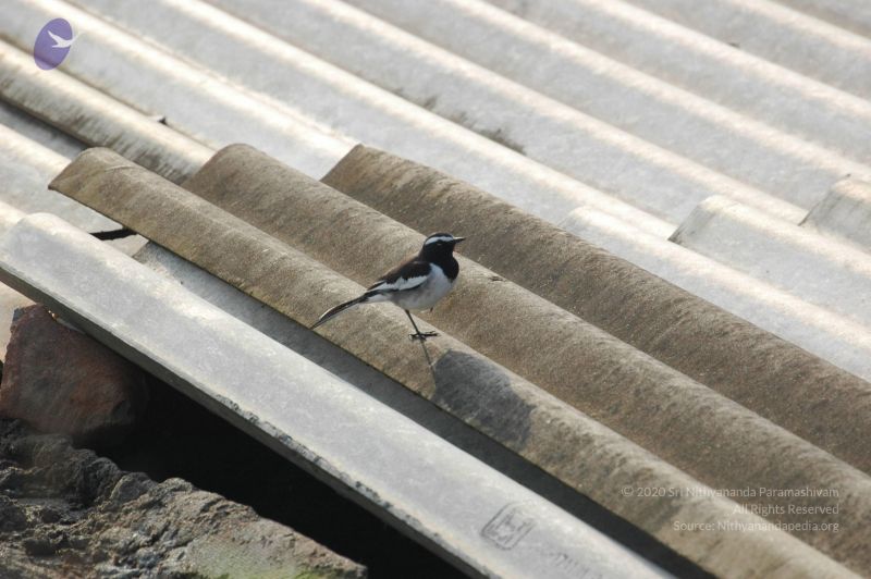 File:20060926 Photo 1115 1V33g8X5wT4pm3Y3C-TYXdBWTvbHF4UXM.JPG