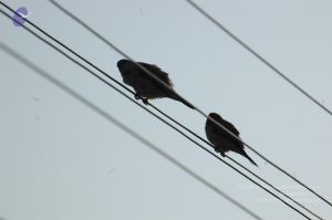 20060926 Photo 1116 1EpLggMSw5v12rcUycdET8EMGmms3VA0k.JPG