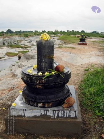 20061001 DSCN0099 CMP WM1.jpg