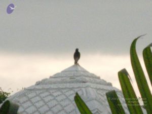 20061001 Photo 1107 1j5mGPbONCK-IMxdj4FF9pbl4U0v5t5YX.JPG