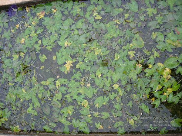 20061001 Photo 1115 1L 2PpU50vfvDIUQCXSHZArZnifkbBJI2.JPG