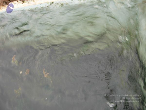 20061001 Photo 1117 19EcTo-Zd9y4WTBz81hJfUEp561p94i2R.JPG