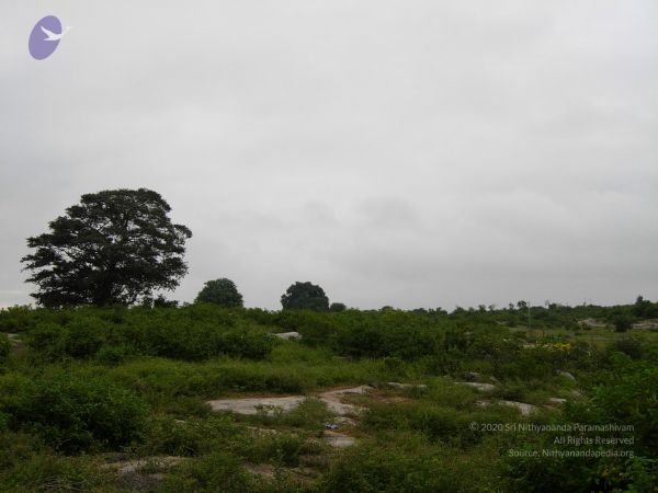 20061001 Photo 1133 12sS48-Z6YVc6CGGoM1PdCHw N0nenMAJ.JPG