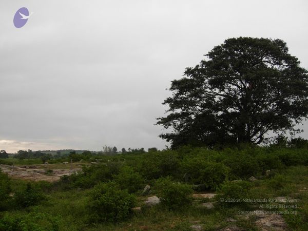 20061001 Photo 1136 1gY85f9Qexzc5U0Lb39cLeYUWrzagarWP.JPG