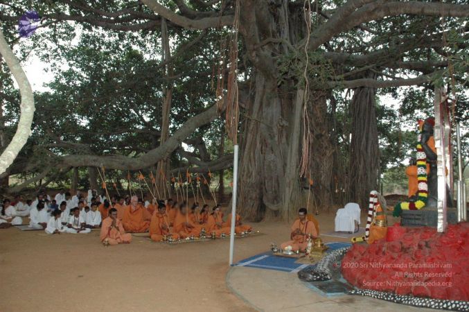 20061006 Photo 1012 14ntFeOTR2mE tW5bI7OwLN3D-SmPA1Io.JPG