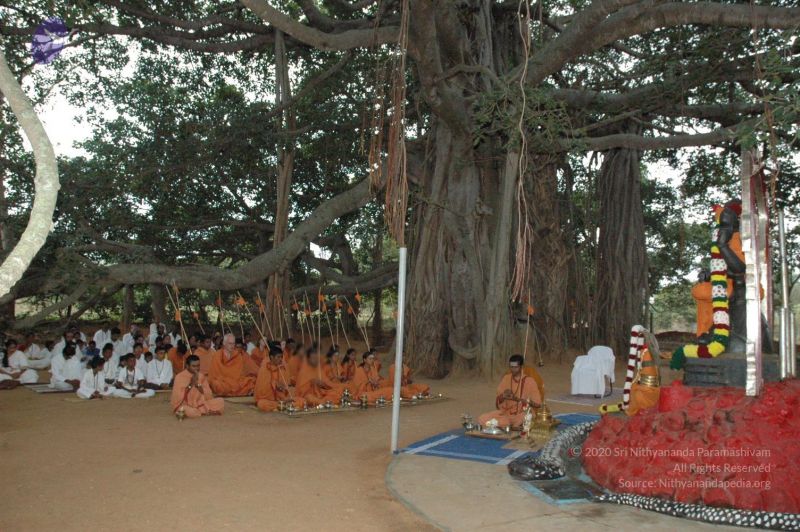 File:20061006 Photo 1012 14ntFeOTR2mE tW5bI7OwLN3D-SmPA1Io.JPG