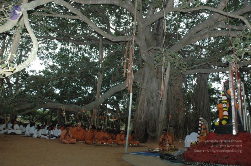 File:20061006 Photo 1013 1dbWNpyi5zvuX3xY IX64RkT523Ggbkso.JPG