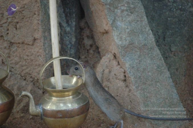 20061006 Photo 1038 1tJSHrrsc9CuXTnkw SYVF-Y8ejs0g-7n.JPG